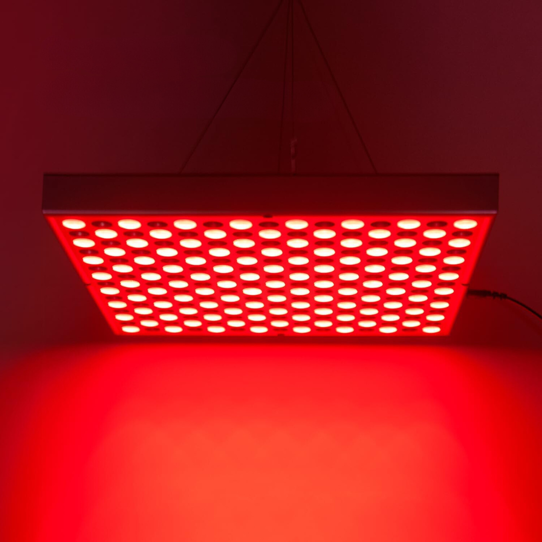 LED Red Light Therapy